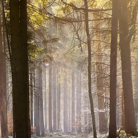 Lejlighed Auf Halbinsel In Direkter Ufernaehe