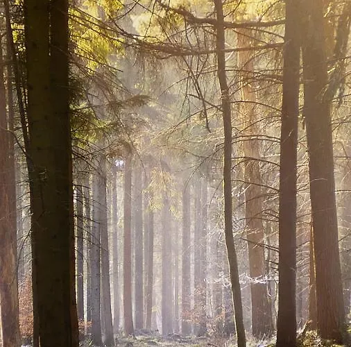 Apartment Auf Halbinsel In Direkter Ufernaehe